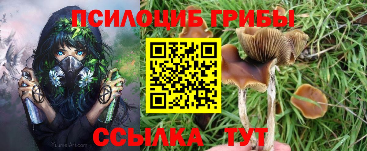 Галлюциногенные грибы мицелий  Вход с VPN  Галлюциногенные грибы ЛСД  Полевской 