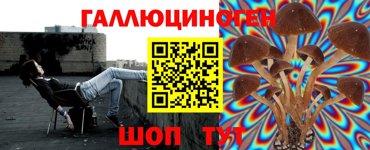 Галлюциногенные грибы GOLDEN TEACHER Полевской